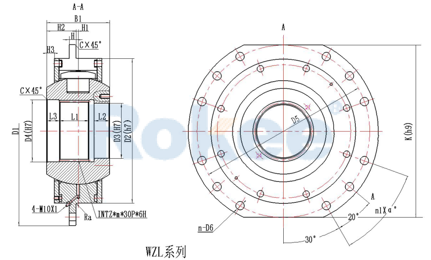 DQ/WZL Drum Coupling